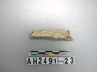 藏品(玉料)的圖片